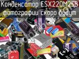 Конденсатор ESX220M25B 