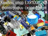 Конденсатор EXR100M2VB 