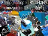 Конденсатор ECR101M2GB 
