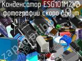 Конденсатор ESG101M2VB 