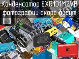 Конденсатор EXR101M2VB