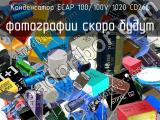 Конденсатор ECAP 100/100V 1020 CD26L 