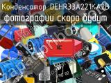 DEHR33A221KA2B