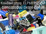 Конденсатор ELP681M2GBA