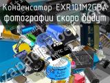 Конденсатор EXR101M2GBA 