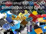 Конденсатор EXR220M2GBA 