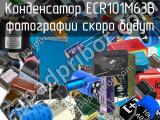 Конденсатор ECR101M63B 