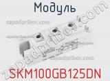 Модуль SKM100GB125DN 
