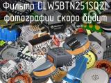 Фильтр DLW5BTN251SQ2L