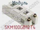 Модуль SKM100GB12T4 