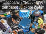 Дроссель SMRQ3C-101K 