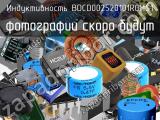 Индуктивность BDCD002520101R0MS1