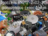 Дроссель RN212-2-02-1M0