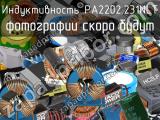 Индуктивность PA2202.231NLT 