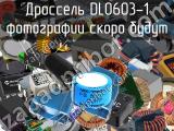 Дроссель DL0603-1 