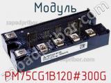 Модуль PM75CG1B120#300G 