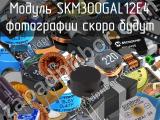 Модуль SKM300GAL12E4 