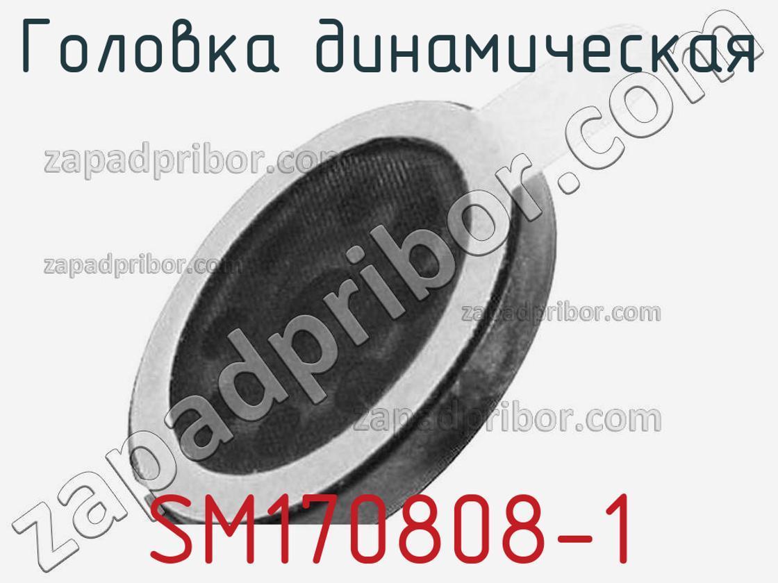 SM170808-1 - Головка динамическая - фотография. Увеличить. SM170808-1 - Головка динамическая - фотография.