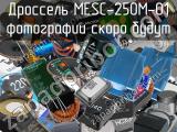 Дроссель MESC-250M-01