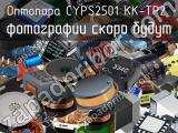 Оптопара CYPS2501（KK-TP2）