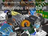 Индуктивность BSCH001005054N3SCP 