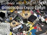 Диодный мост SKD30/08A1