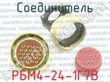 РБМ4-24-1Г7В фотография 2 соединителя. 
