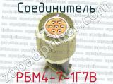 РБМ4-7-1Г7В фотография 2 соединителя. 