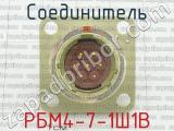 РБМ4-7-1Ш1В фотография 2 соединителя. 