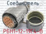 РБН1-12-19Г4-В фотография 2 соединителя. 