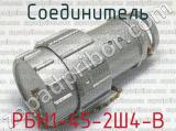 РБН1-45-2Ш4-В 