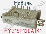Модуль HYG15P120A1K1 фотография 2.