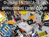 Фильтр FN2080A-3-06 