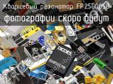 Кварцевый резонатор FP2500058 