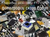 Кварцевый резонатор FY2500136