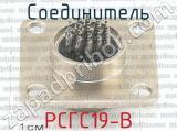 РСГС19-В фотография 2 соединителя. 