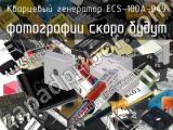 Кварцевый генератор ECS-100A-049 