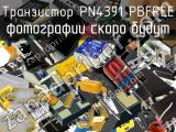 Транзистор PN4391 PBFREE 