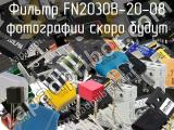 Фильтр FN2030B-20-08 