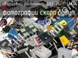 Кварцевый резонатор 603-25-173JA4I