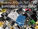 Фильтр AFS406.1W01-TS31 