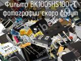 Фильтр BK1005HS100-T 