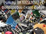 Фильтр BK1005LM182-T 