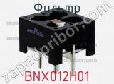 Фильтр BNX012H01 фотография 2.