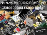 Фильтр BWCU00121008900Y03 