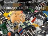 Кварцевый резонатор CSTLS3M58G53-B0