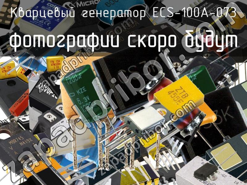Кварцевый генератор ECS-100A-073 фотография.