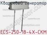 Кварцевый генератор ECS-250-18-4X-CKM 