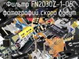 Фильтр FN2030Z-1-06 
