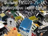 Фильтр FN5020-25-33 